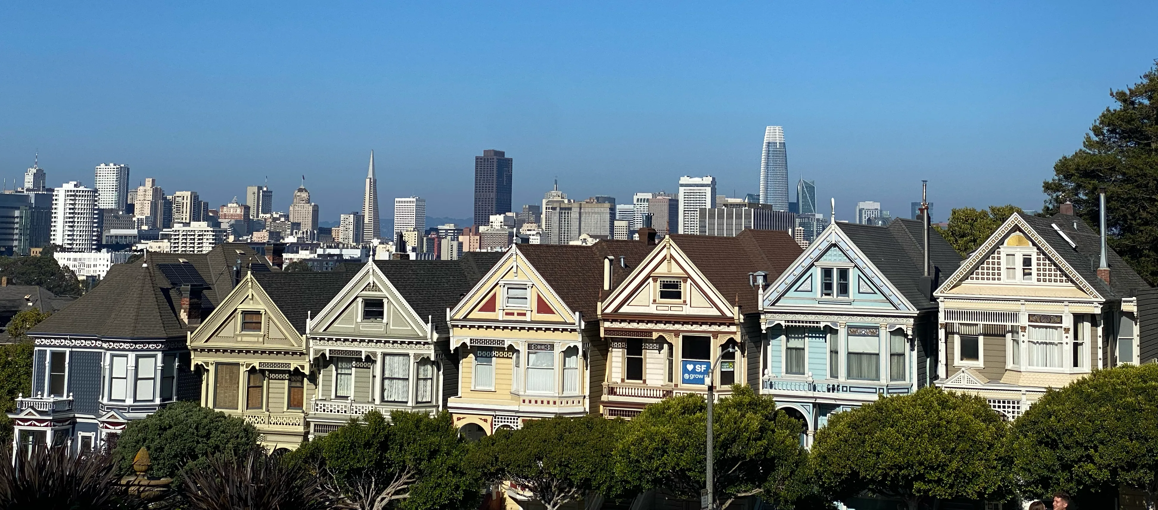 Painted Ladies